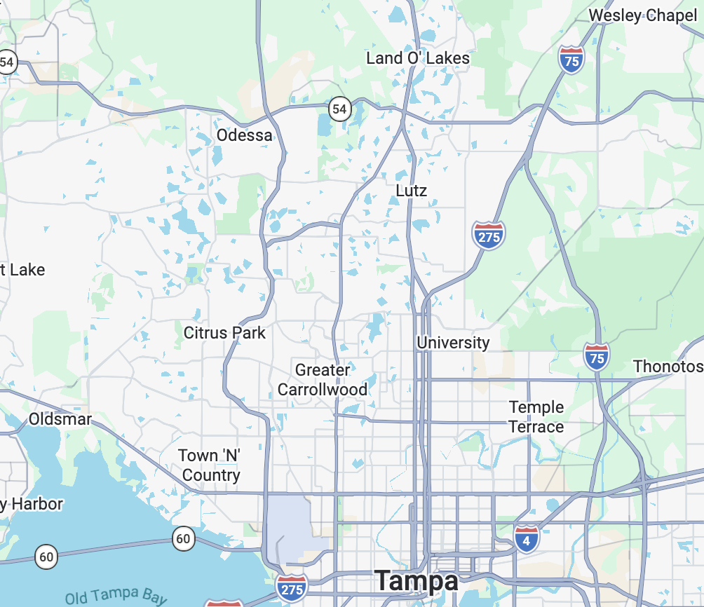 Road map showing Tampa and nearby communities, including Odessa, Land O' Lakes, Lutz, Carrollwood, Temple Terrace, New Tampa, and Wesley Chapel
